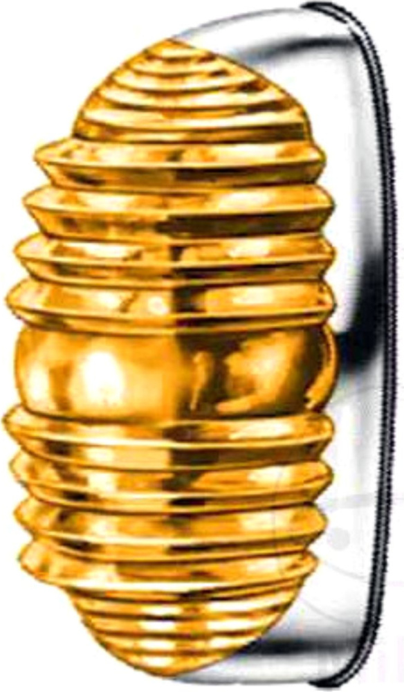 Blinker Blinkleuchte seitlich