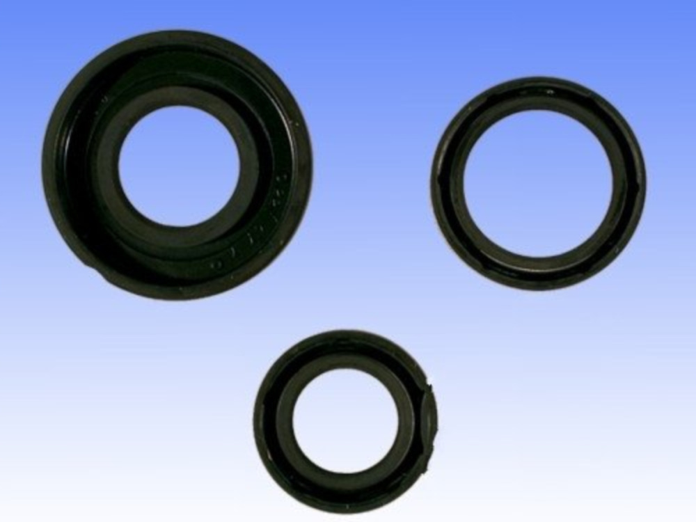 Simmering Wellendichtring Satz Athena P4004804000501