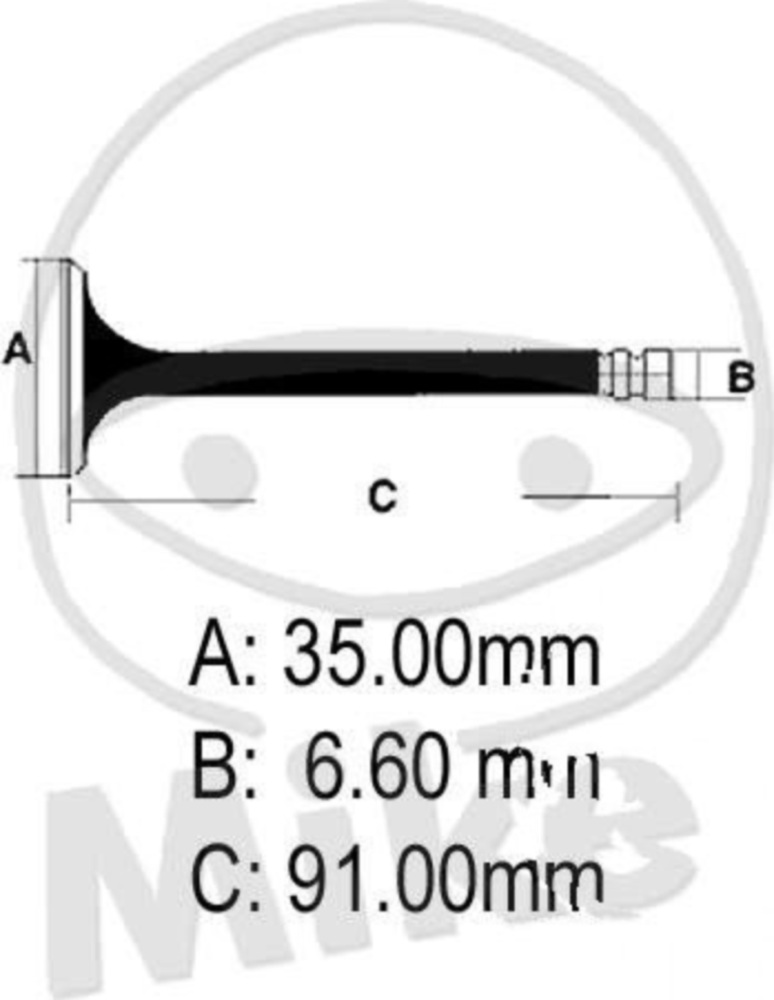 Einlassventil 68011050 Einlassventil 68011050