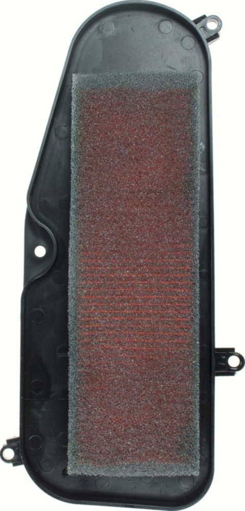 Luftfilter 100600730