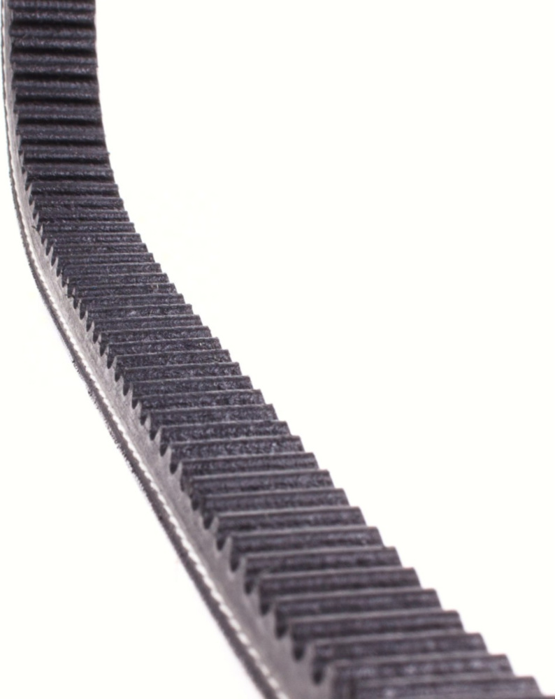 Antriebriemen, Zahnriemen L621xB16,3 Keilriemen