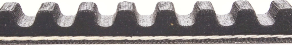 Antriebriemen, Zahnriemen L664xB16,5 Keilriemen