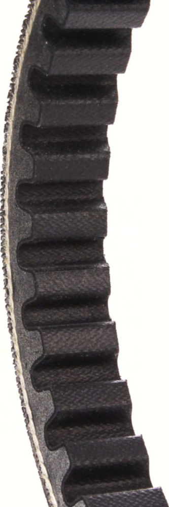 Antriebriemen, Zahnriemen L747xB16,5 Power Plus Keilriemen Aramid verstärkt