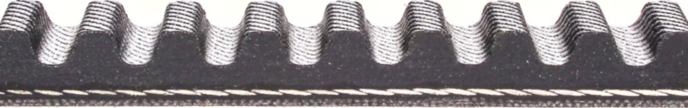 Antriebriemen, Zahnriemen L720xB16,5 Keilriemen