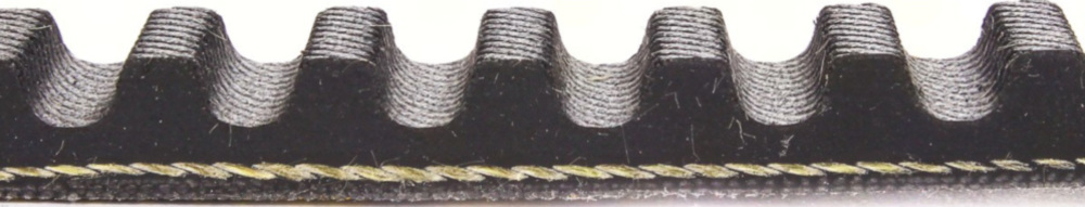 Antriebriemen, Zahnriemen L792xB16,5 Power Plus Keilriemen Aramid verstärkt