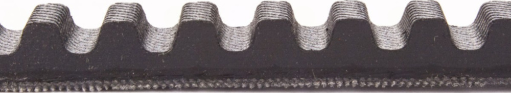 Antriebriemen, Zahnriemen L730xB15,0 Keilriemen