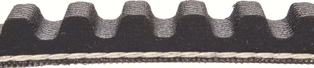 Antriebriemen, Zahnriemen L860xB15,0 Keilriemen