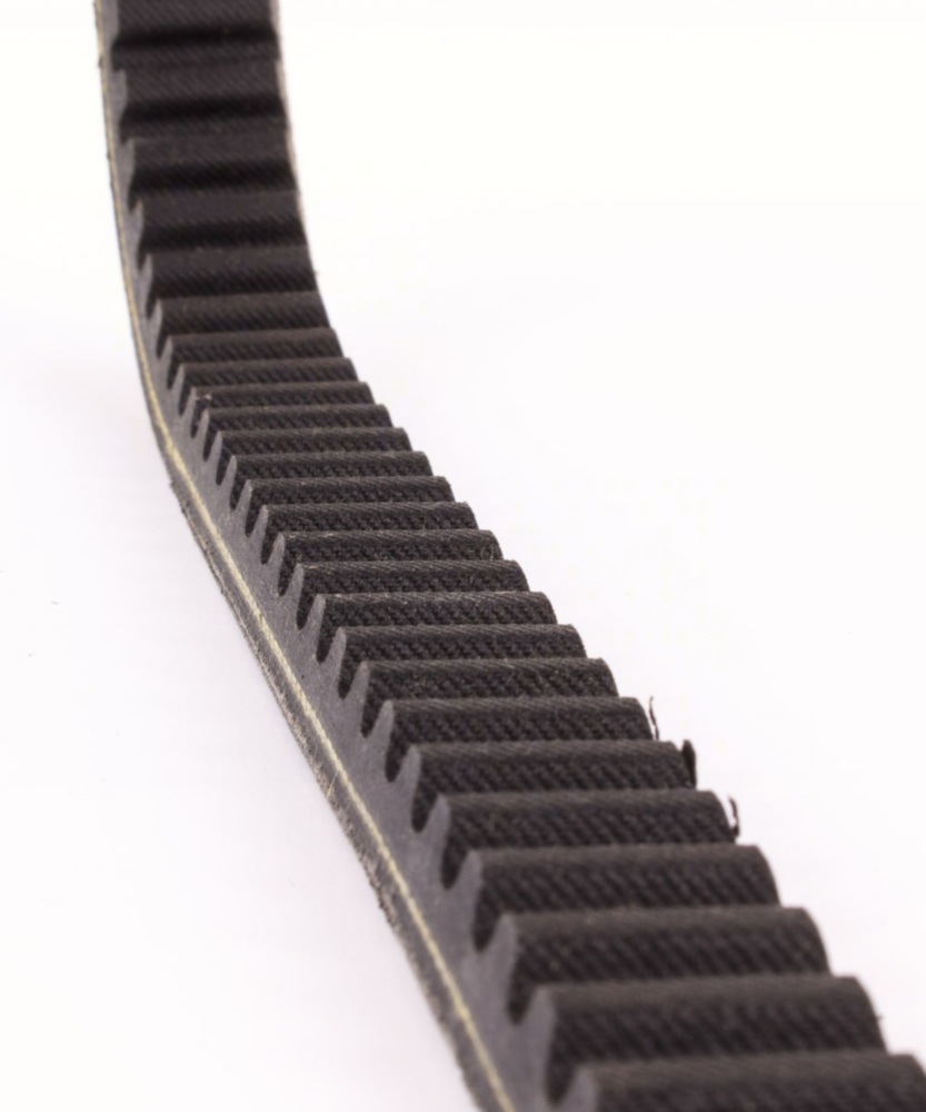 Antriebriemen, Zahnriemen L815xB22,0 Power Plus Keilriemen Aramid verstärkt