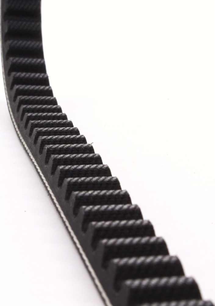 Antriebriemen, Zahnriemen L785xB16,6 Keilriemen