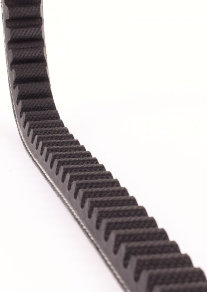 Antriebriemen, Zahnriemen L736xB17,0 Keilriemen