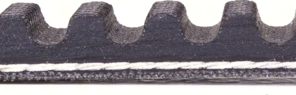 Antriebriemen, Zahnriemen L770xB16,3 Keilriemen