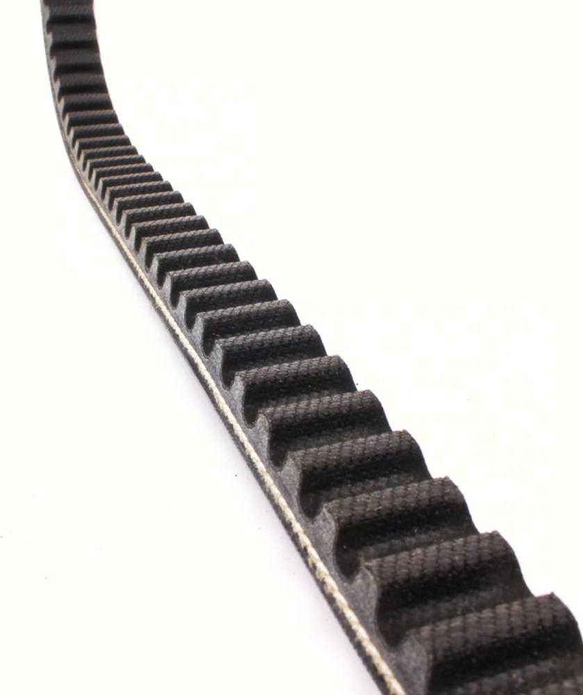 Antriebriemen, Zahnriemen L811xB18,5 Power Plus Keilriemen Aramid verstärkt