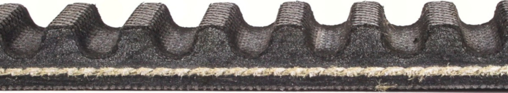 Antriebriemen, Zahnriemen L811xB18,5 Power Plus Keilriemen Aramid verstärkt