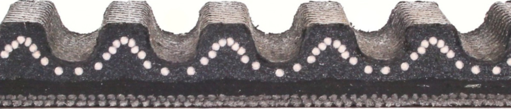 Antriebriemen, Zahnriemen L835xB18,5 Power Plus Keilriemen Aramid verstärkt