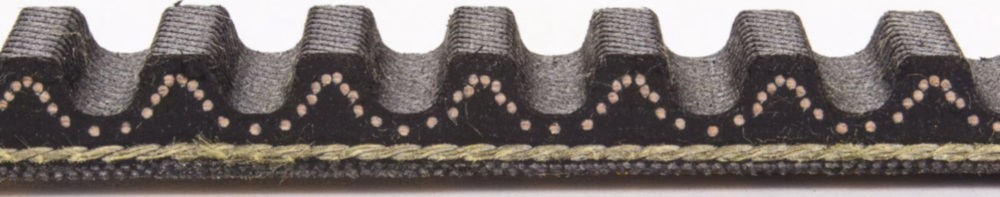 Antriebriemen, Zahnriemen L835XB18,0 Power Plus Keilriemen Aramid verstärkt