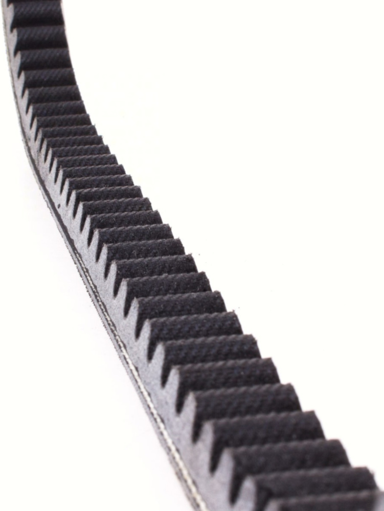 Antriebriemen, Zahnriemen L815xB19,0 Power Plus Keilriemen Aramid verstärkt