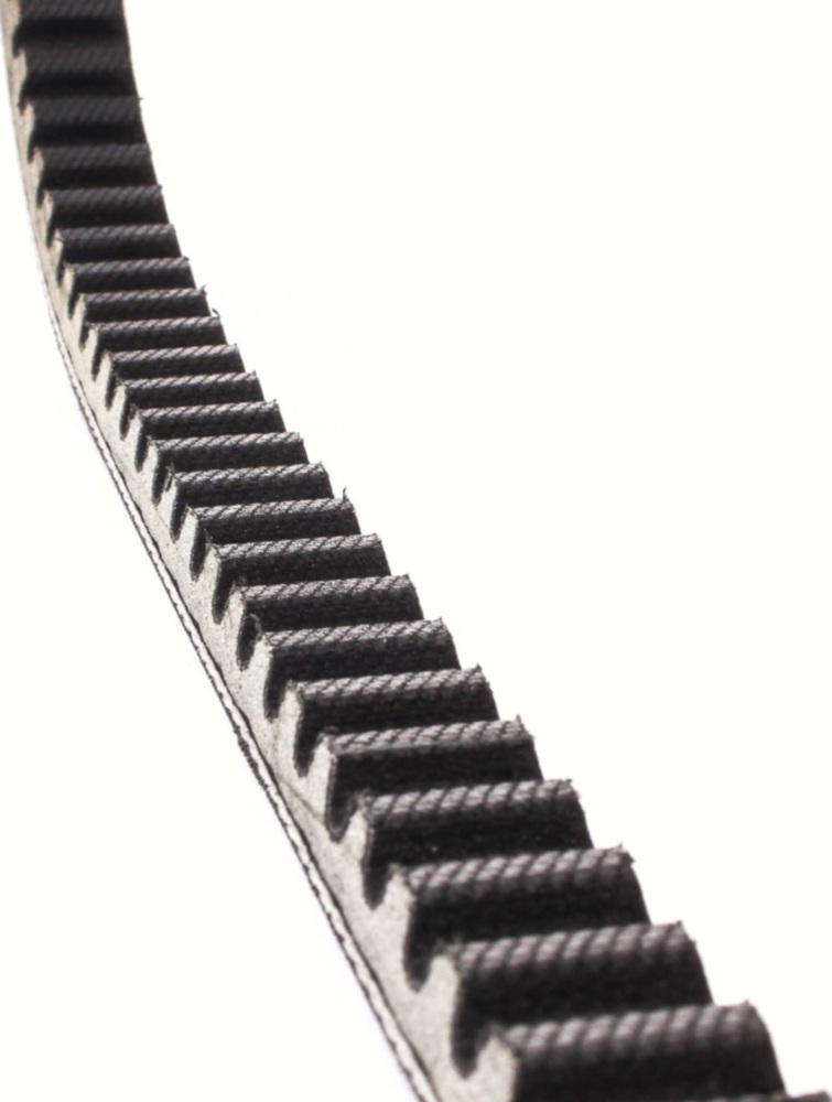 Antriebriemen, Zahnriemen L785xB18,5 Keilriemen