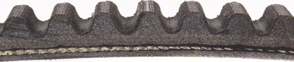 Antriebriemen, Zahnriemen L832xB18,5 Power Plus Keilriemen Aramid verstärkt