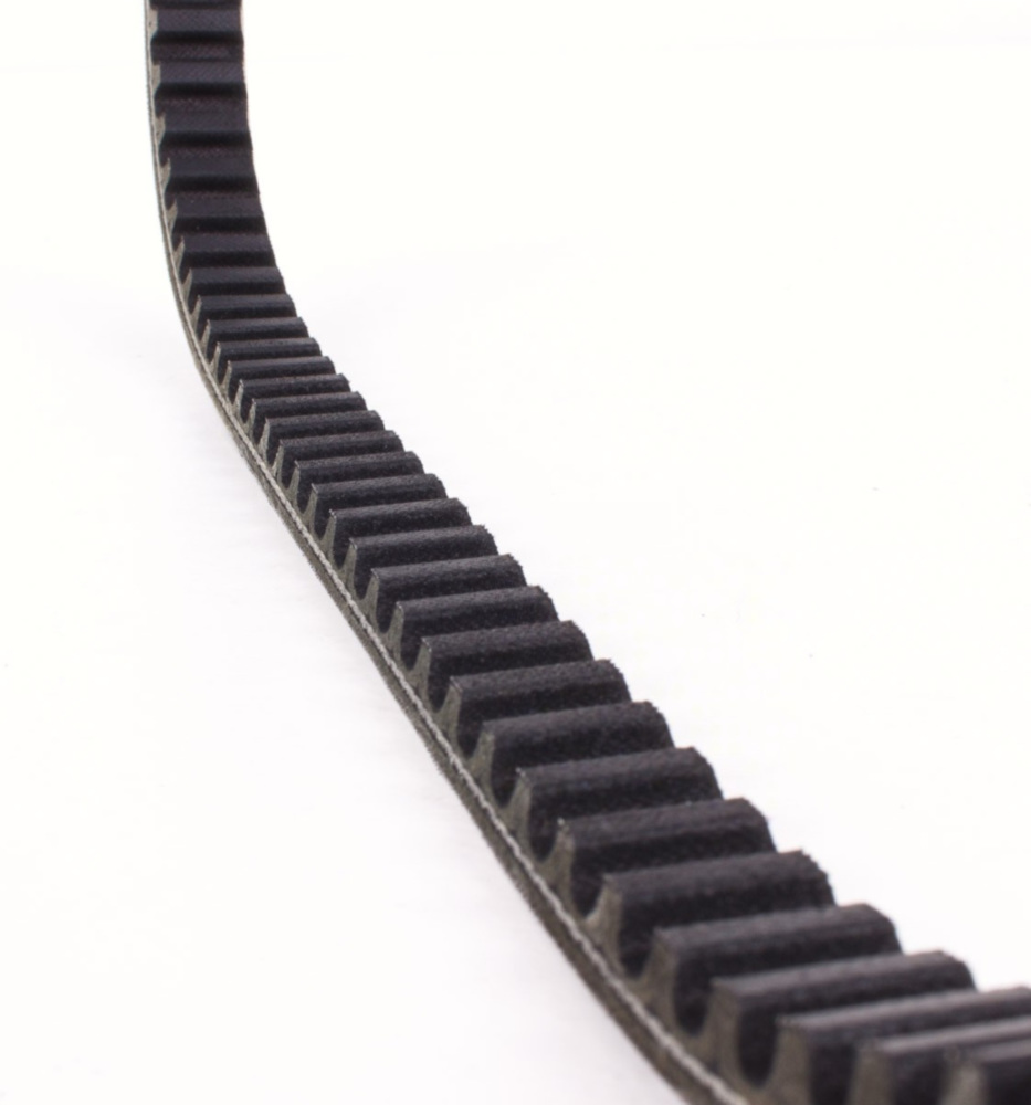 Antriebriemen, Zahnriemen L770xB17,5 Keilriemen