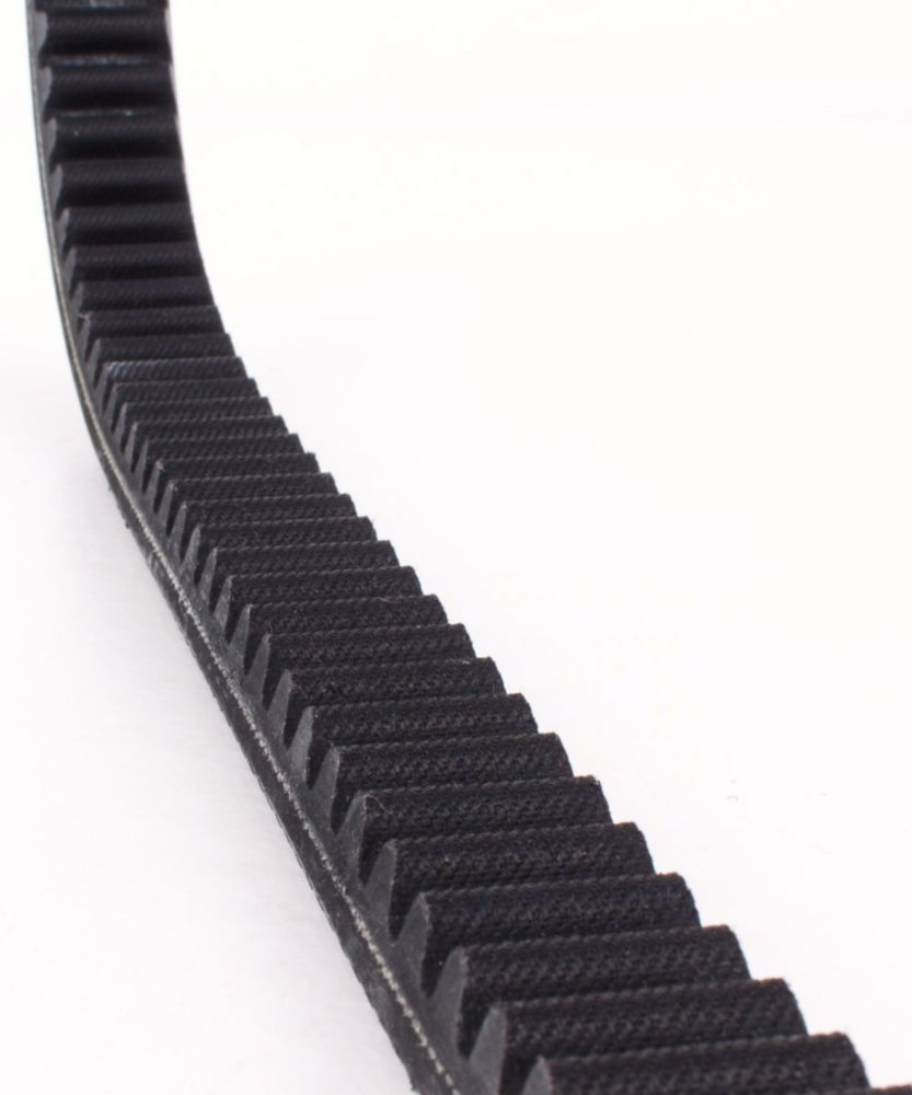 Antriebriemen, Zahnriemen L1036xB28,0 Power Plus Keilriemen Aramid verstärkt