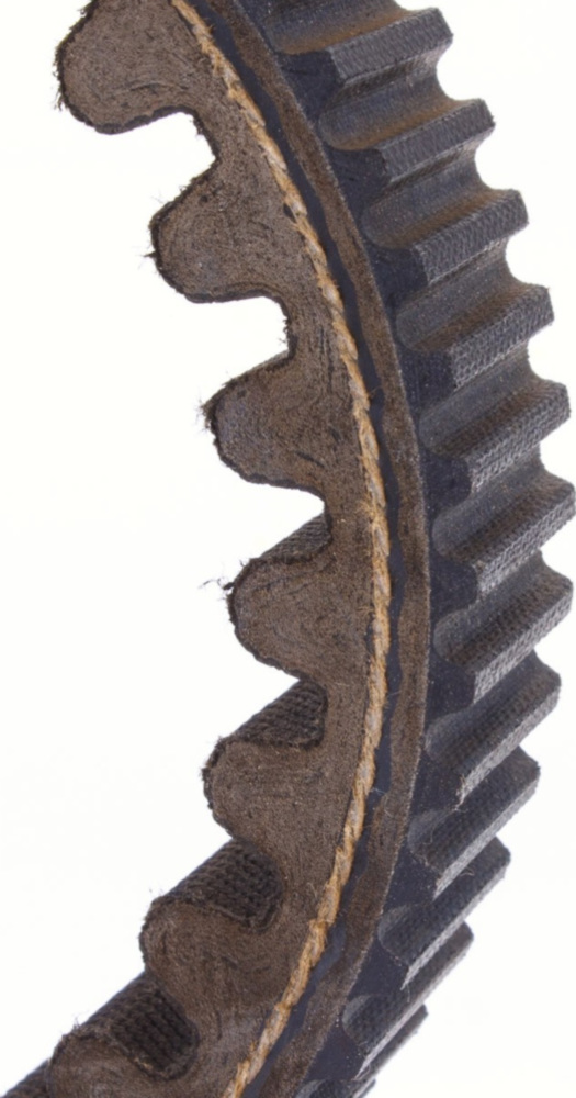 Antriebriemen, Zahnriemen L1050xB24,5 Power Plus Keilriemen Aramid verstärkt