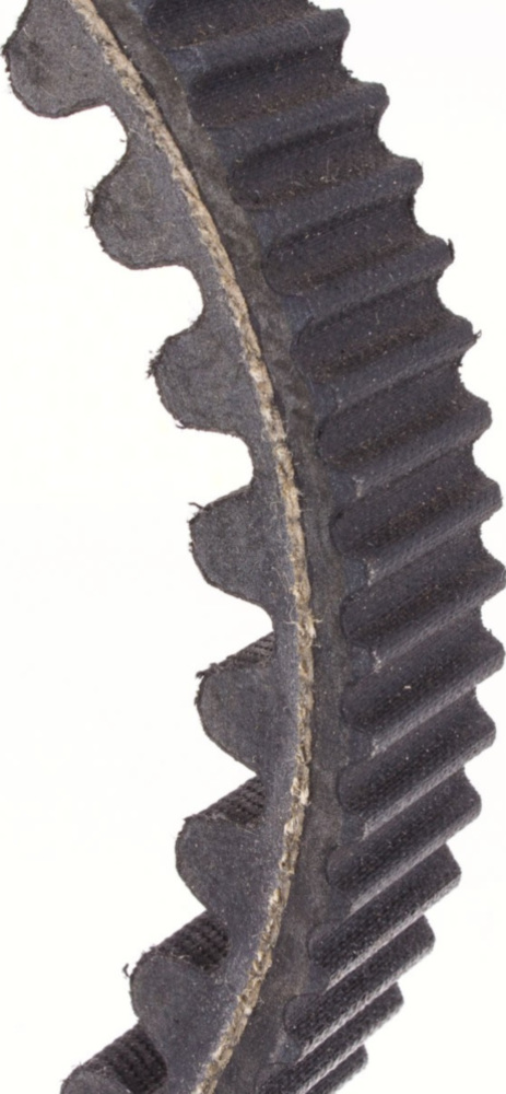 Antriebriemen, Zahnriemen L954xB22,6 Power Plus Keilriemen Aramid verstärkt