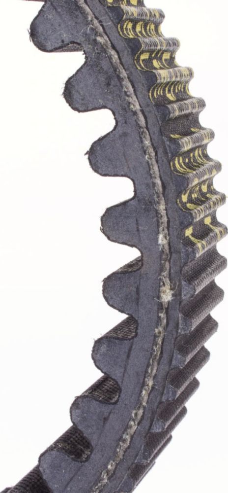 Antriebriemen, Zahnriemen L1025xB28,7 Power Plus Keilriemen Aramid verstärkt