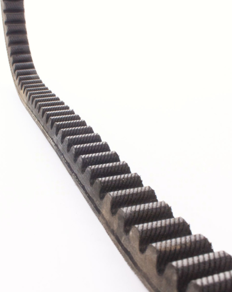 Antriebriemen, Zahnriemen L761xB19,5 Power Plus Keilriemen Aramid verstärkt