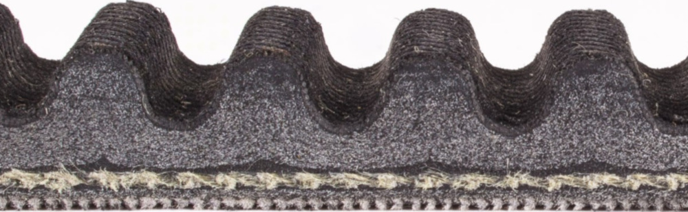 Antriebriemen, Zahnriemen L815xB19,7 Power Plus Keilriemen Aramid verstärkt