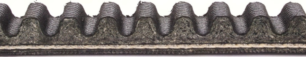 Antriebriemen, Zahnriemen L800xB17,2 Keilriemen