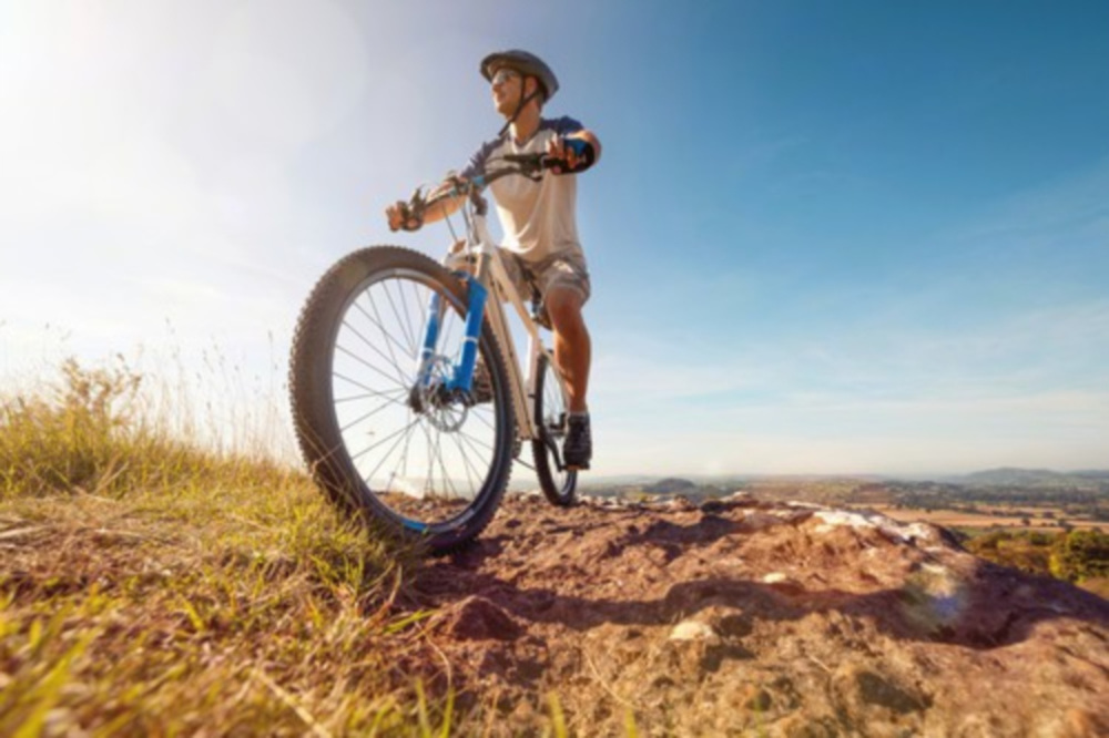 Handy Armbandtasche - Medium - Schwarz