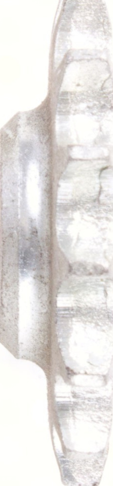 Zahnrad Ritzel 14Z 428