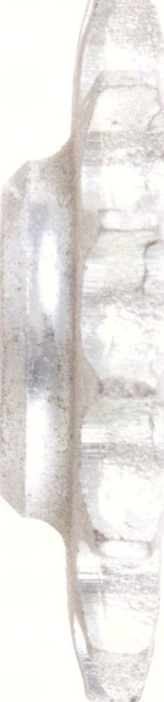 Zahnrad Ritzel 16Z 428