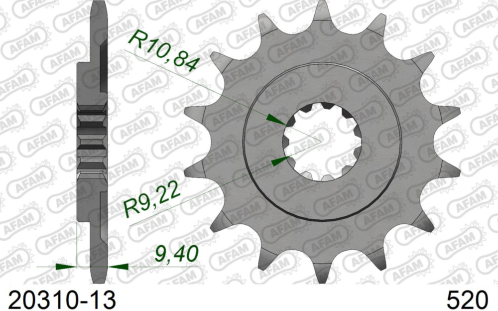 Ritzel AFAM 520 - 13Z 2031013