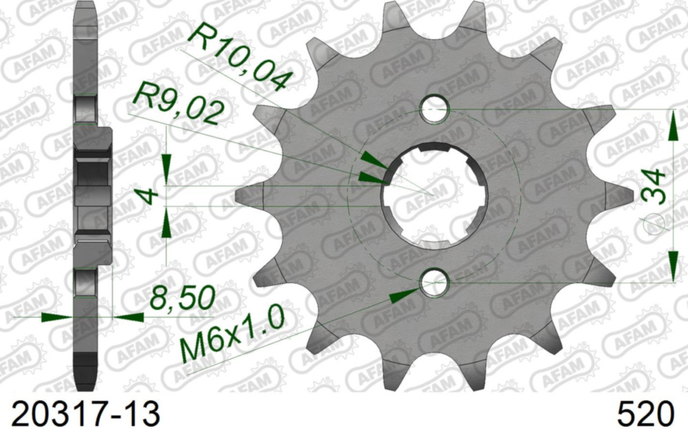 Ritzel AFAM 520 - 13Z 2031713
