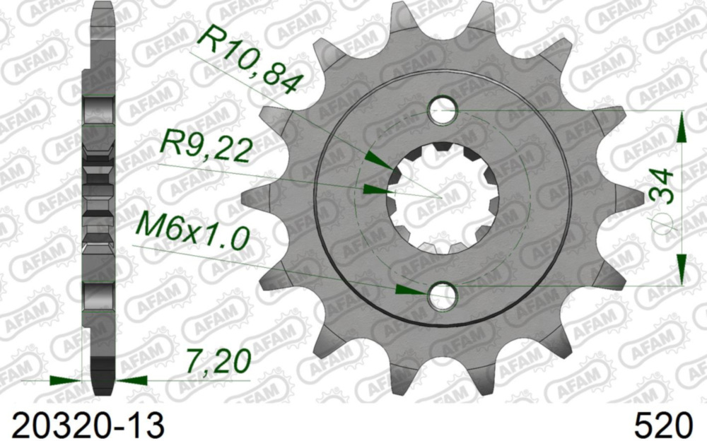 Ritzel AFAM 520 - 13Z 2032013
