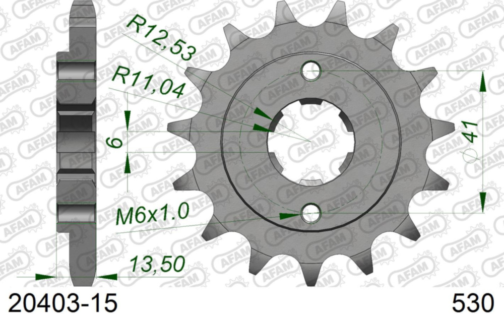 Ritzel AFAM 530 - 15Z 2040315
