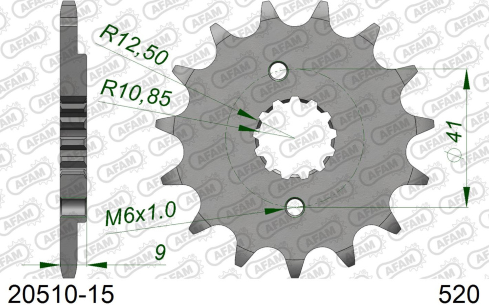 Ritzel AFAM 520 - 15Z 2051015