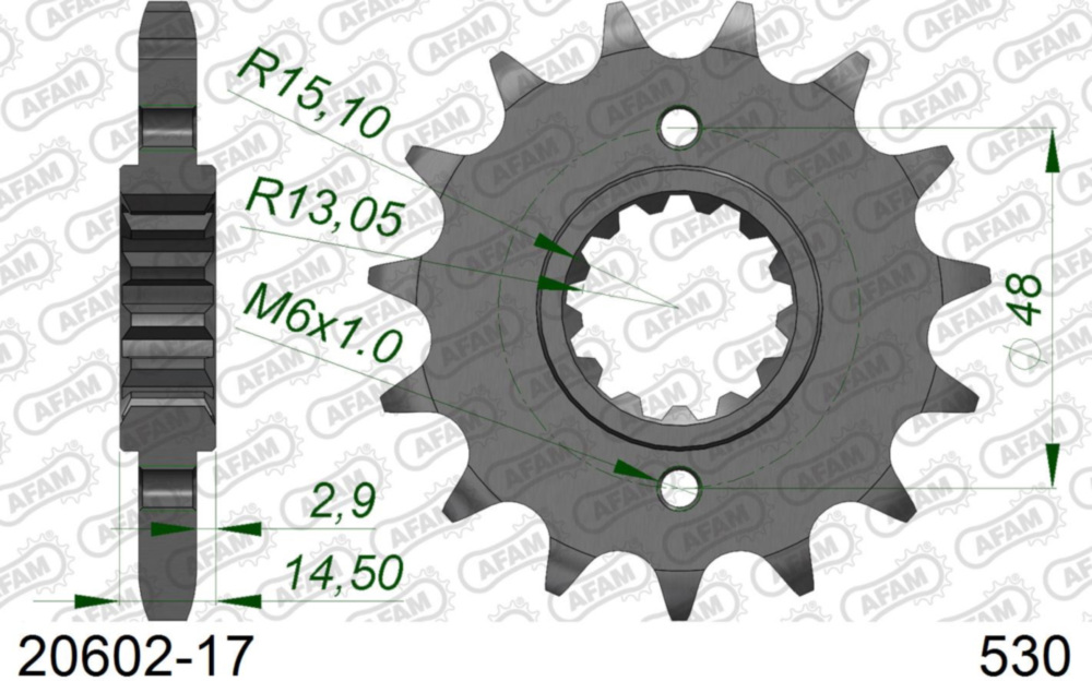 Ritzel AFAM 530 - 17Z 2060217