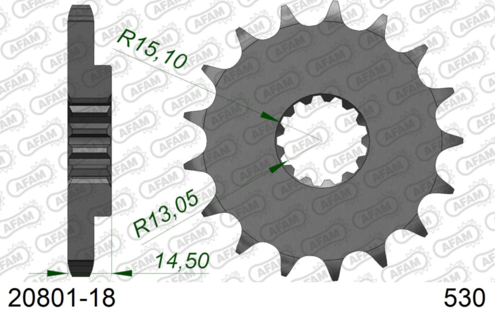Ritzel AFAM 530 - 18Z 2080118
