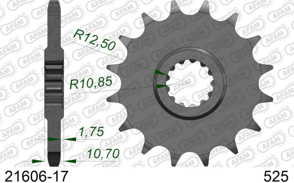 Ritzel AFAM 525 - 17Z 2160617
