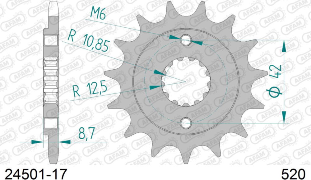 Ritzel AFAM 520 - 17Z 2450117