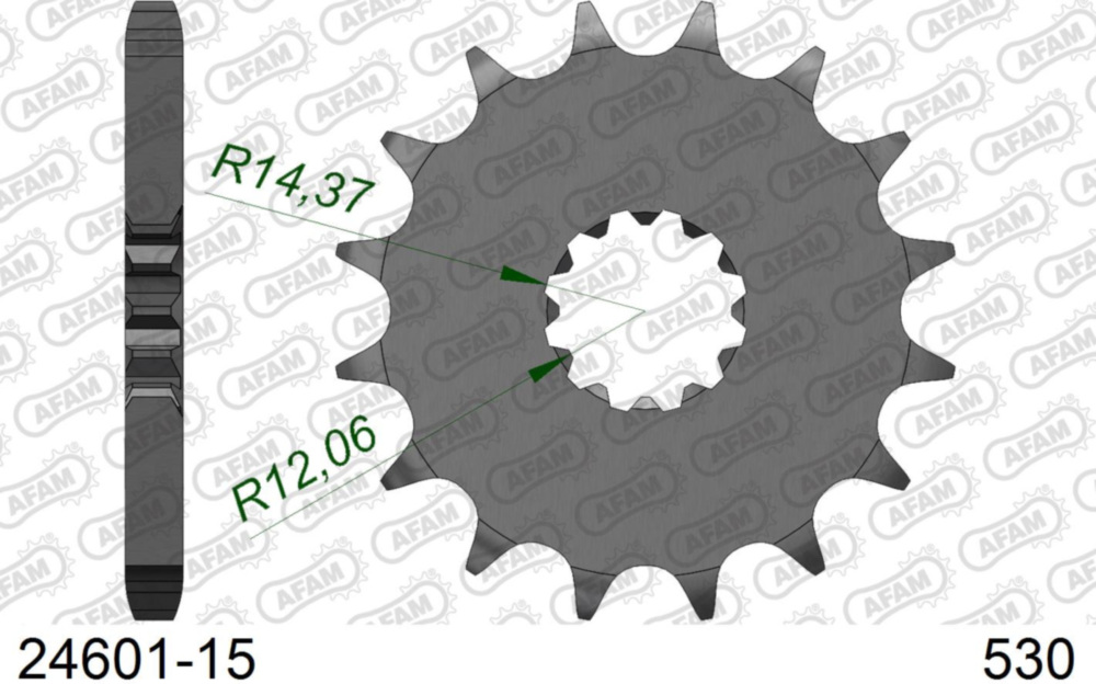 Ritzel AFAM 530 - 15Z 2460115