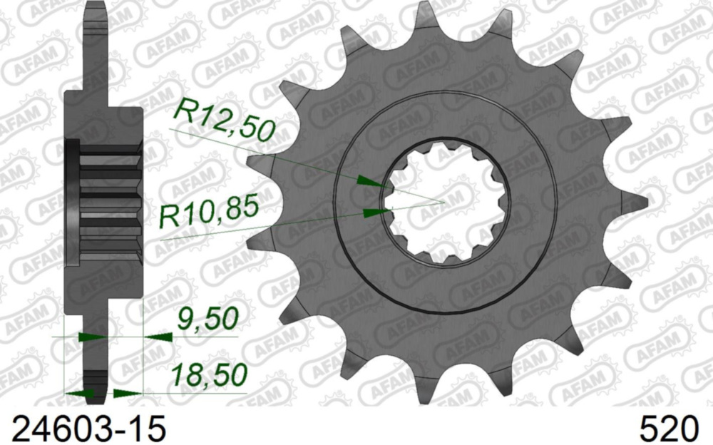 Ritzel AFAM 520 - 15Z 2460315