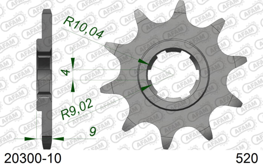 Ritzel AFAM 520 - 10Z 2030010