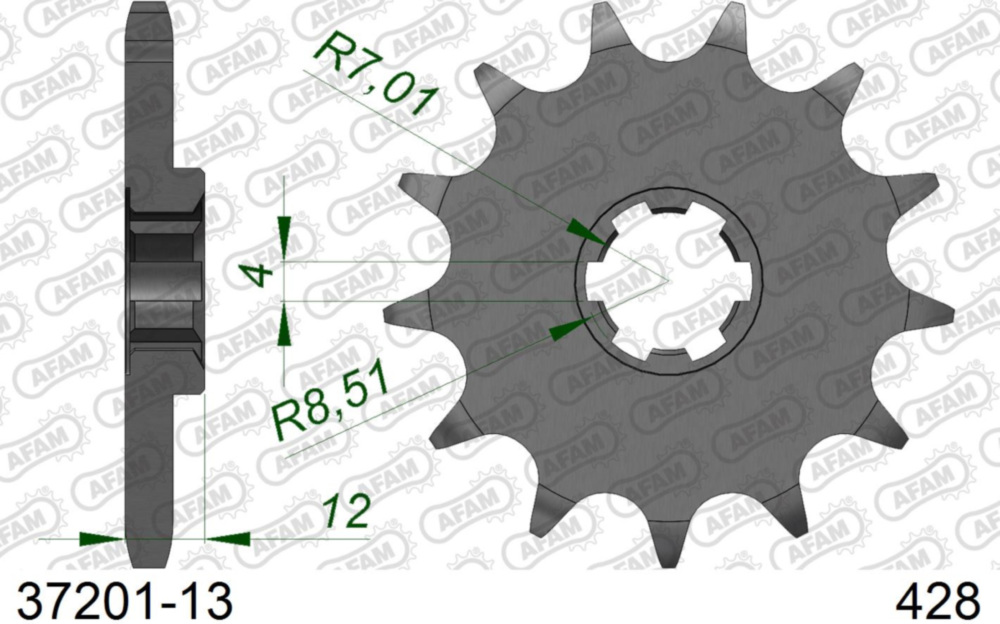 Ritzel AFAM 428 - 13Z 3720113