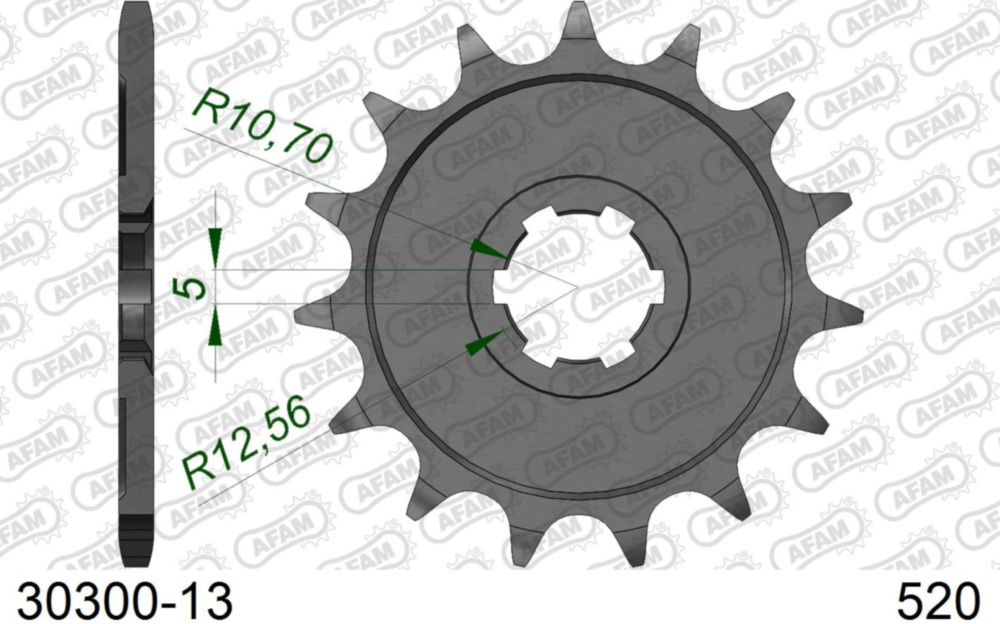 Ritzel AFAM 520 - 13Z 3030013