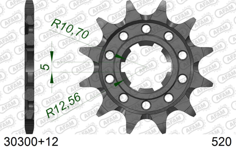 Ritzel AFAM 520 - 12Z 30300+12