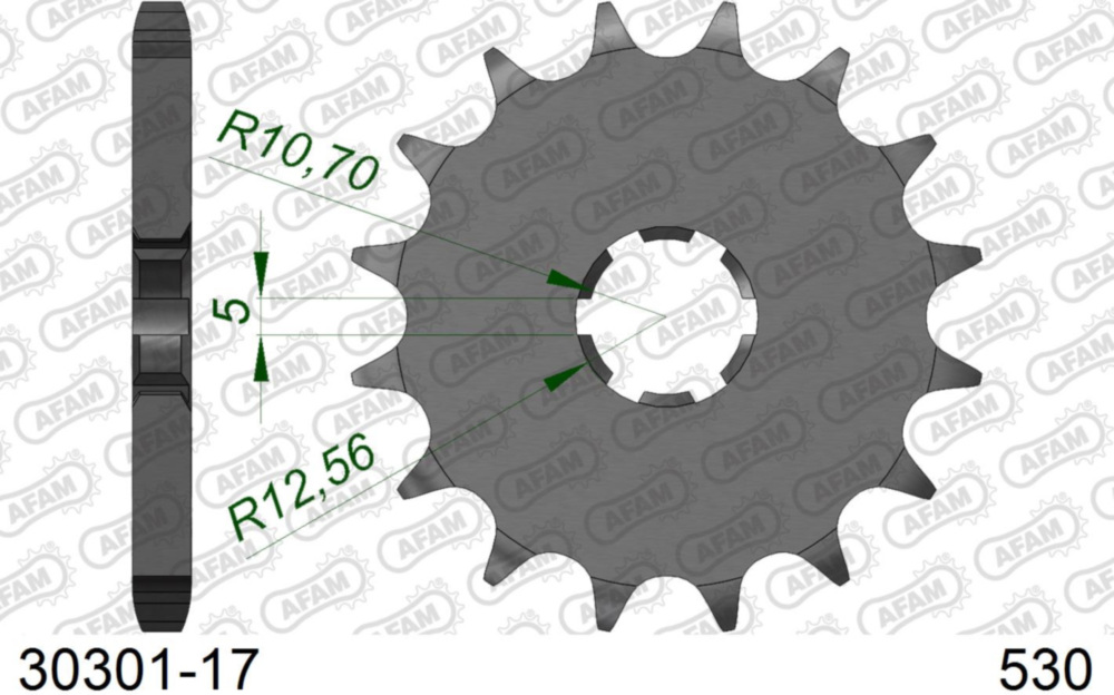Ritzel AFAM 530 - 17Z 3030117