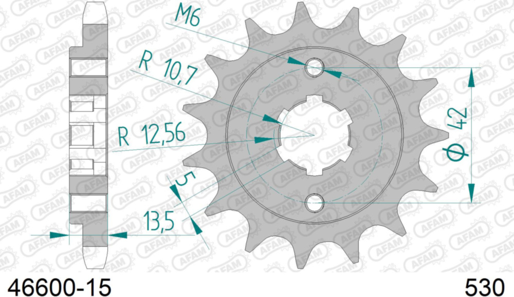 Ritzel AFAM 530 - 15Z 4660015